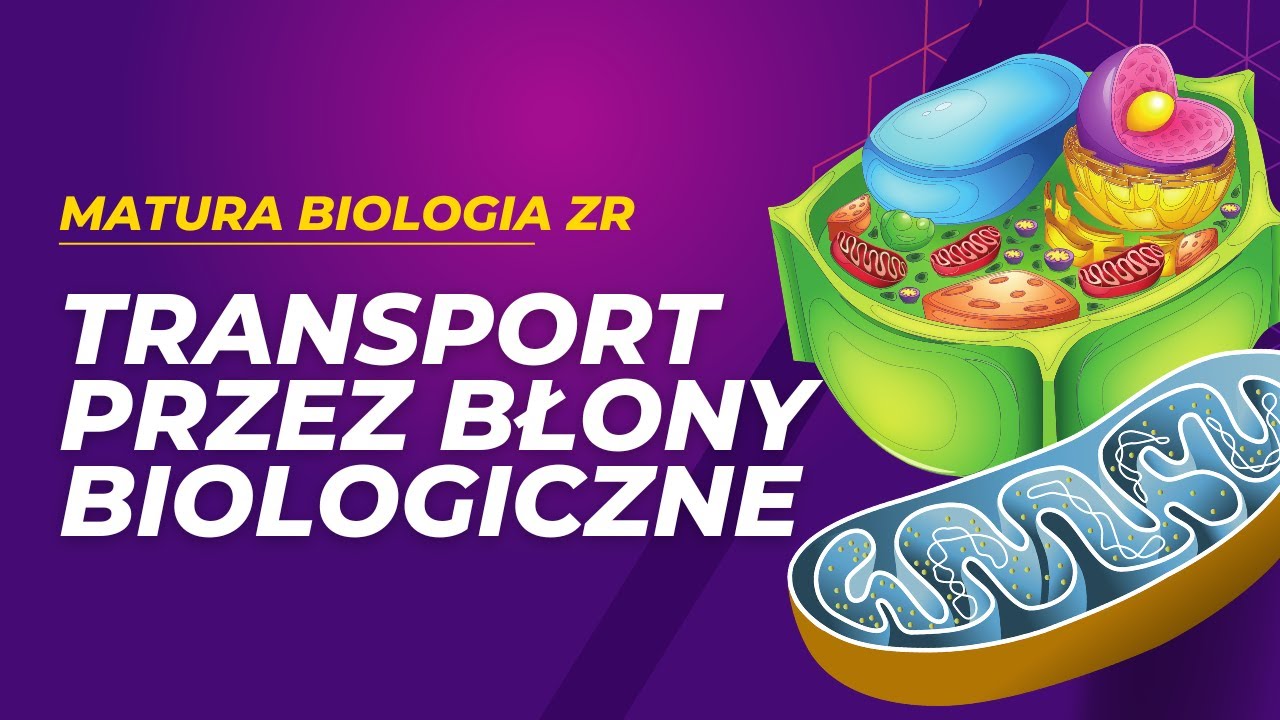 Transport przez błony biologiczne. MATURA BIOLOGIA ZR