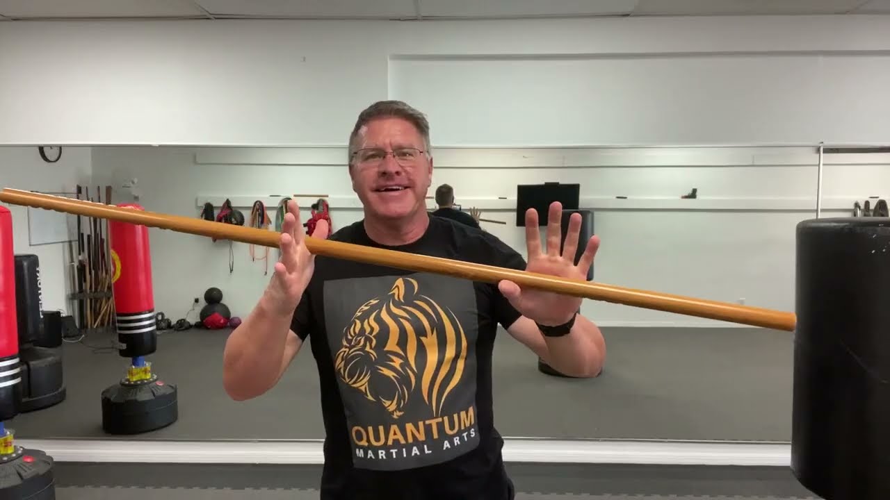 Self defense with a walking stick 