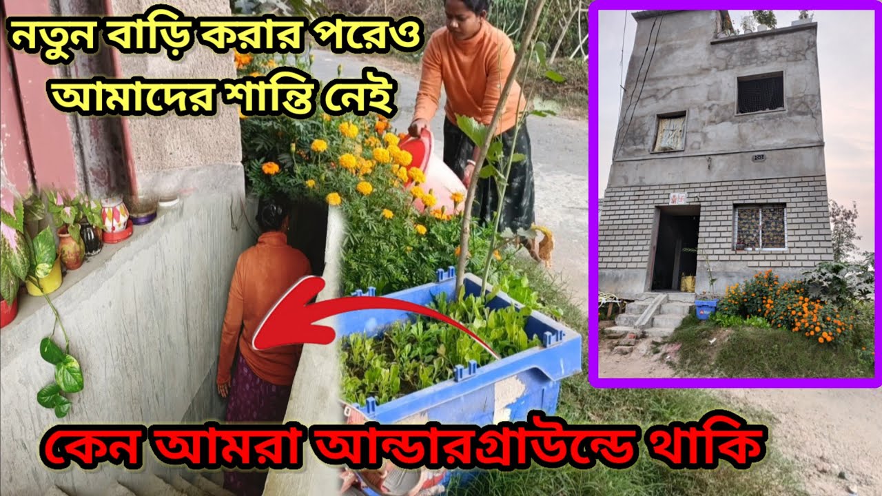 বিলাসবহুল ৩ তলা বাড়ি থাকতেও আমরা কেন মাটির নিচে বাংকারে থাকছি? 🏠📉