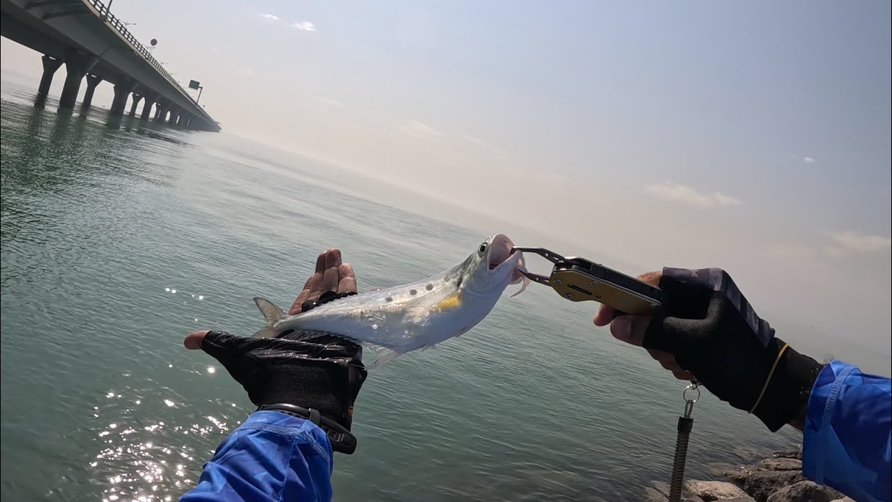 كاستنج ألترا لايت 🎣19/10/2024