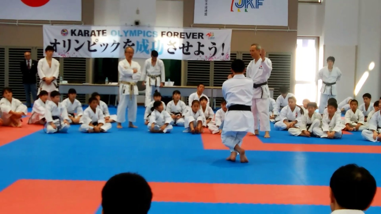 2017 JKF seminar Enpi 全空連形講習会 燕飛