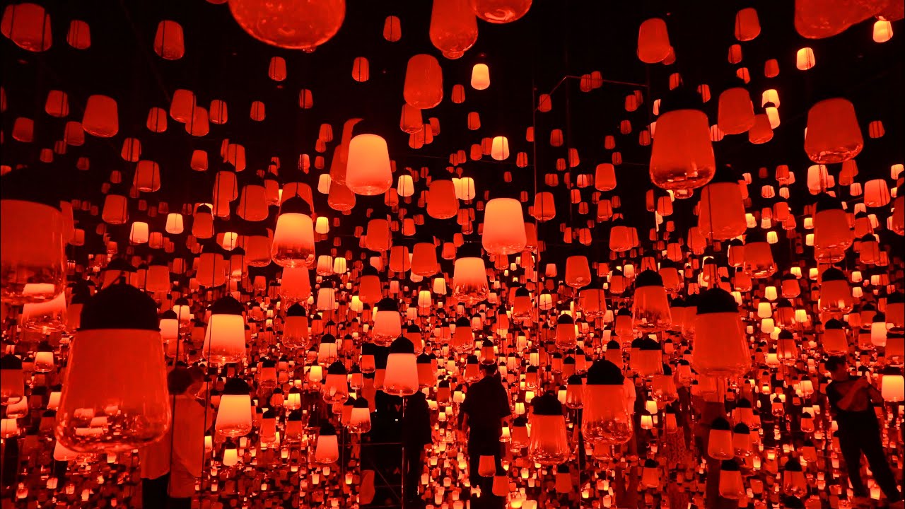 光と映像が紡ぐ、京都で体感する動くアートの世界 | teamLab★Biovortex KYOTO |チームラボ京都