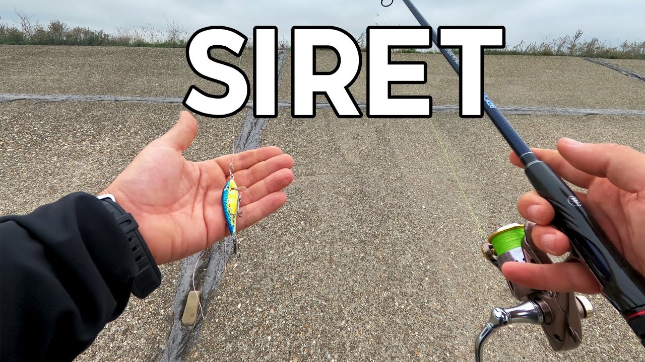 Cand nu ai AVAT acasa si te duci PE SIRET