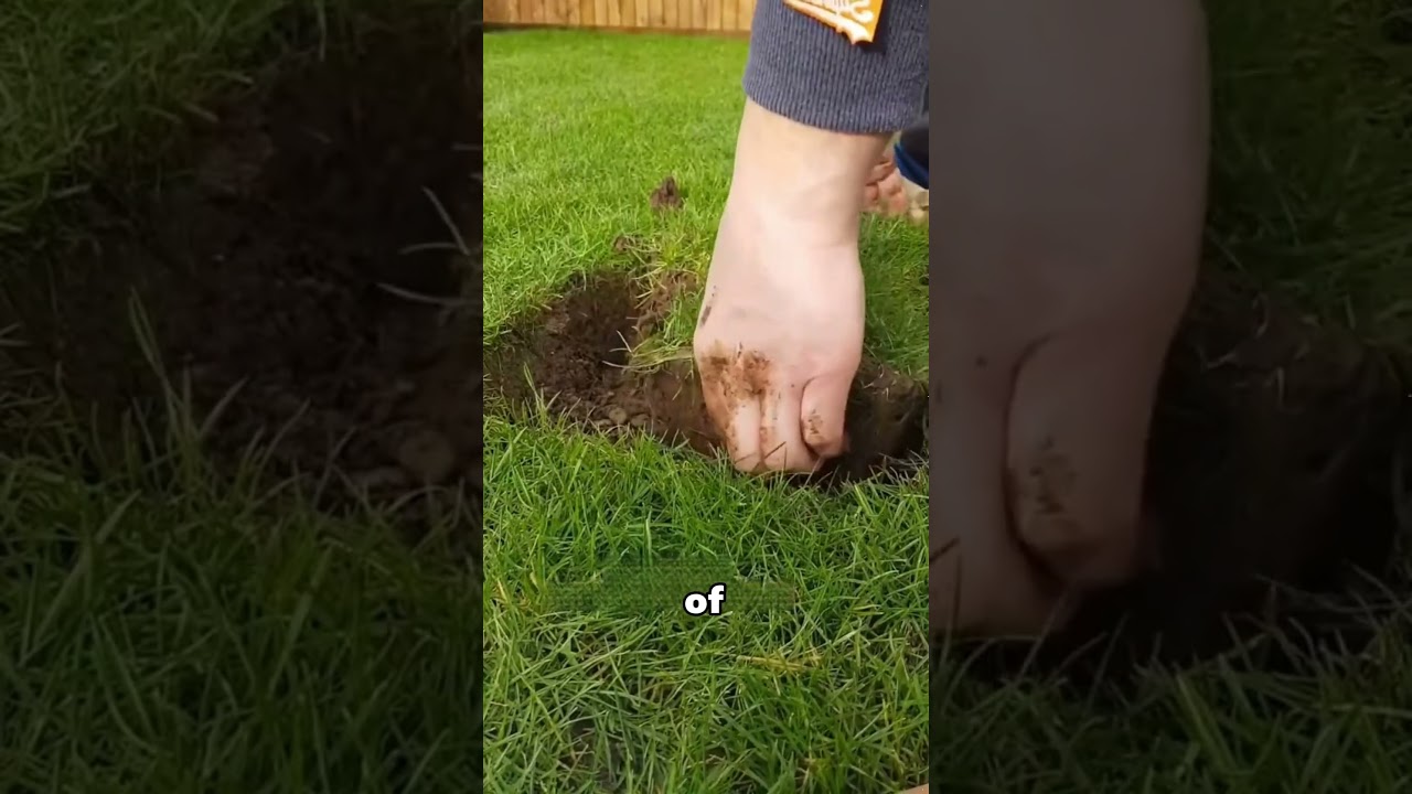 Man digs up lost puppy#animals #dog