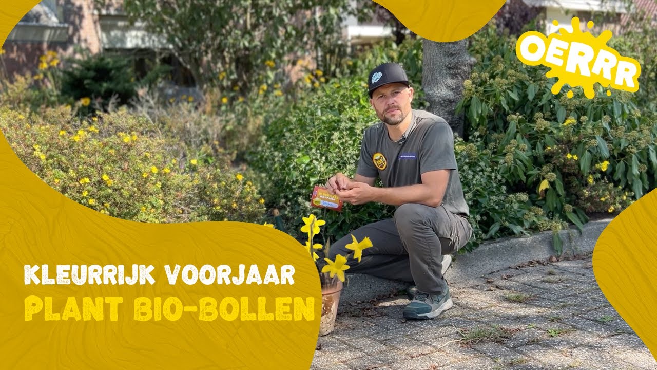 Plant biologische bloembollen voor een kleurrijk voorjaar!