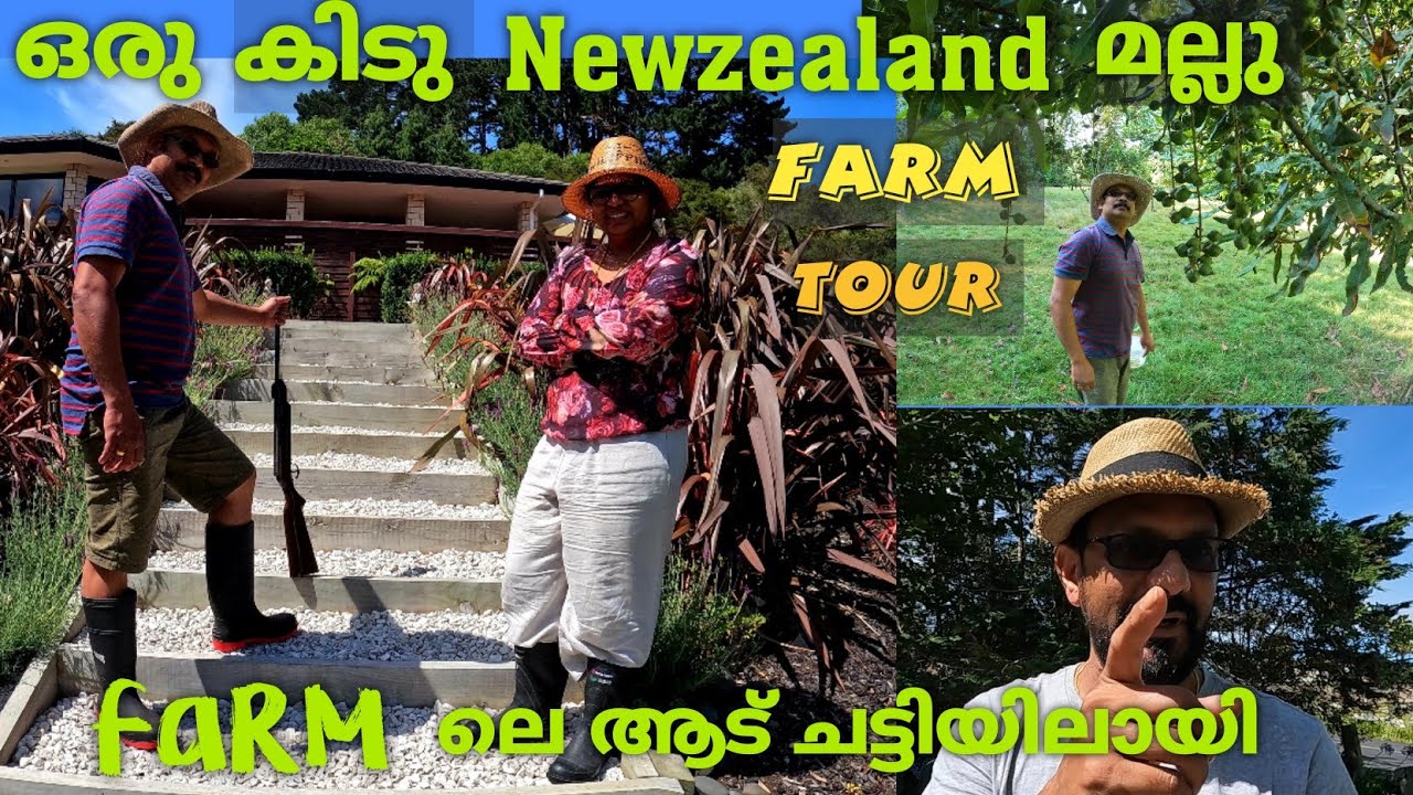 ന്യൂ സിലാൻഡിലെ കൃഷി കാരൻ |New Zealand Mallu Farm tour|New Zealand Malayalam vlog|New Zealand Mallu