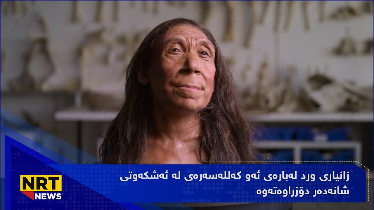 زانیاری ورد لەبارەی ئەو کەللەسەرەی لە ئەشکەوتی شانەدەر دۆزراوەتەوە