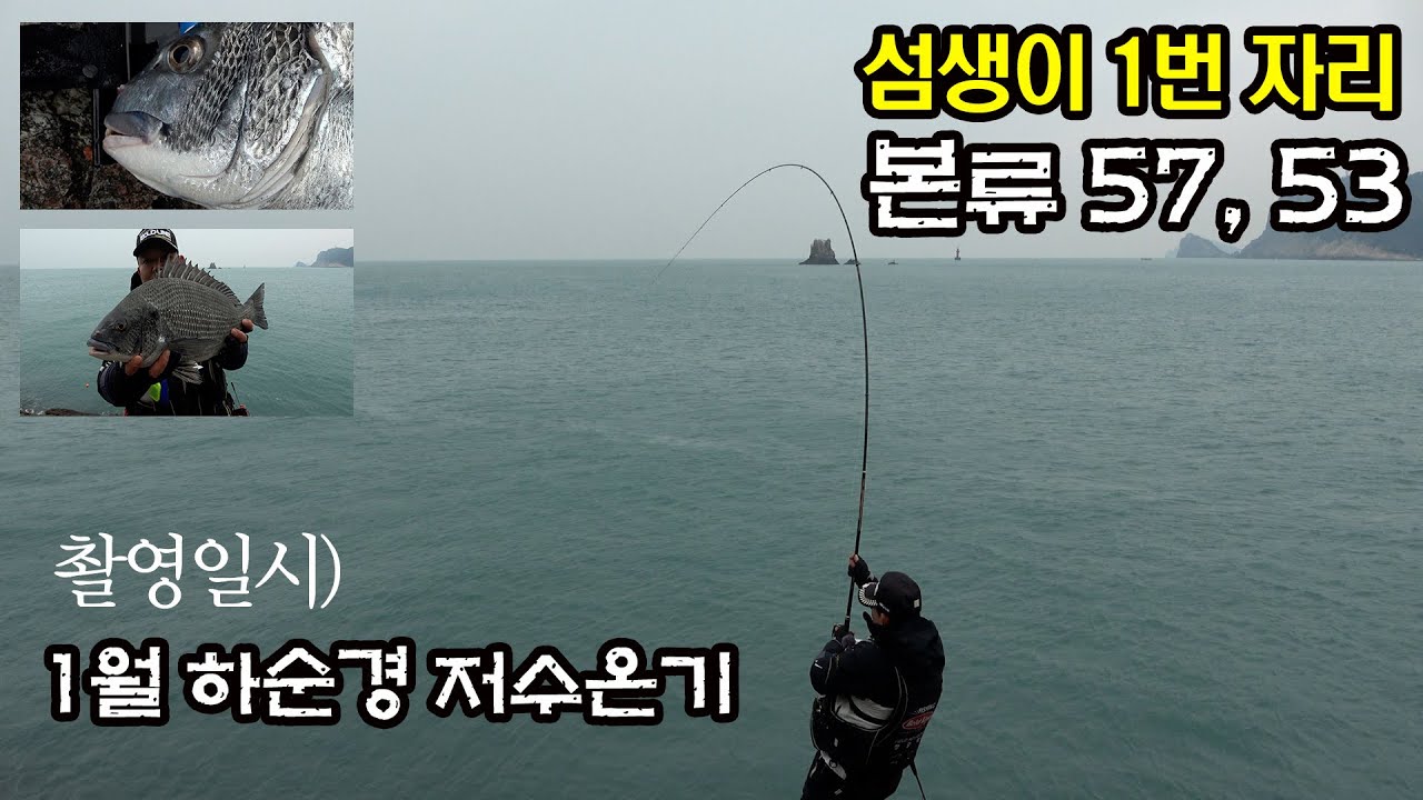 추자군도 1월 하순경!  저수온기 섬생이 1번자리