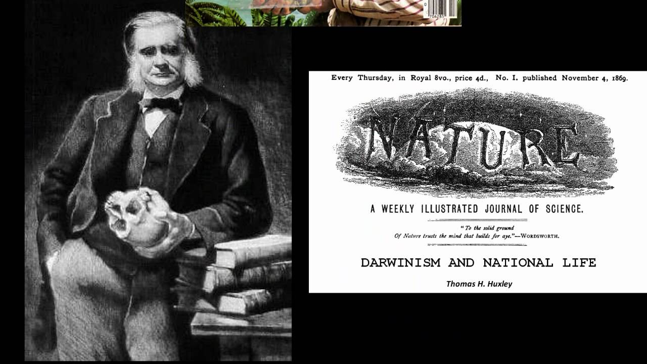 What is Darwinism?