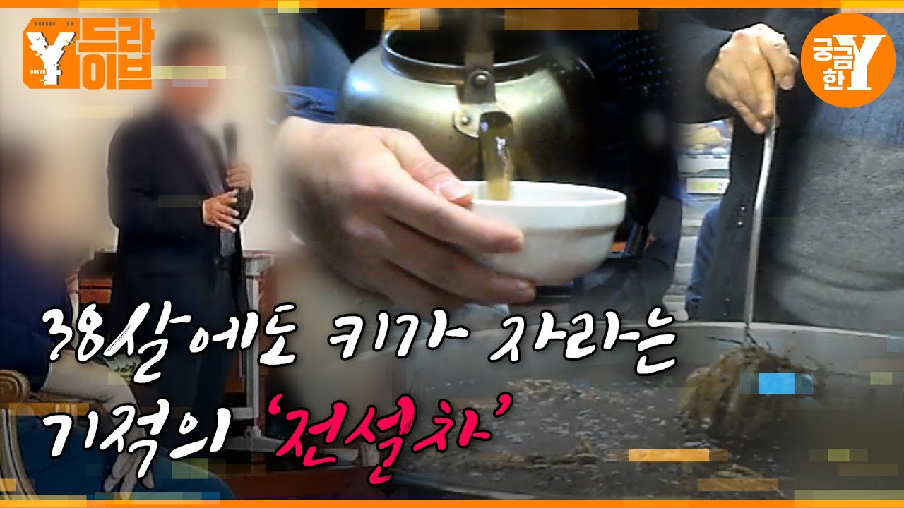 암도 고친다는 기적의 차🍵 전설차 | Y드라이브
