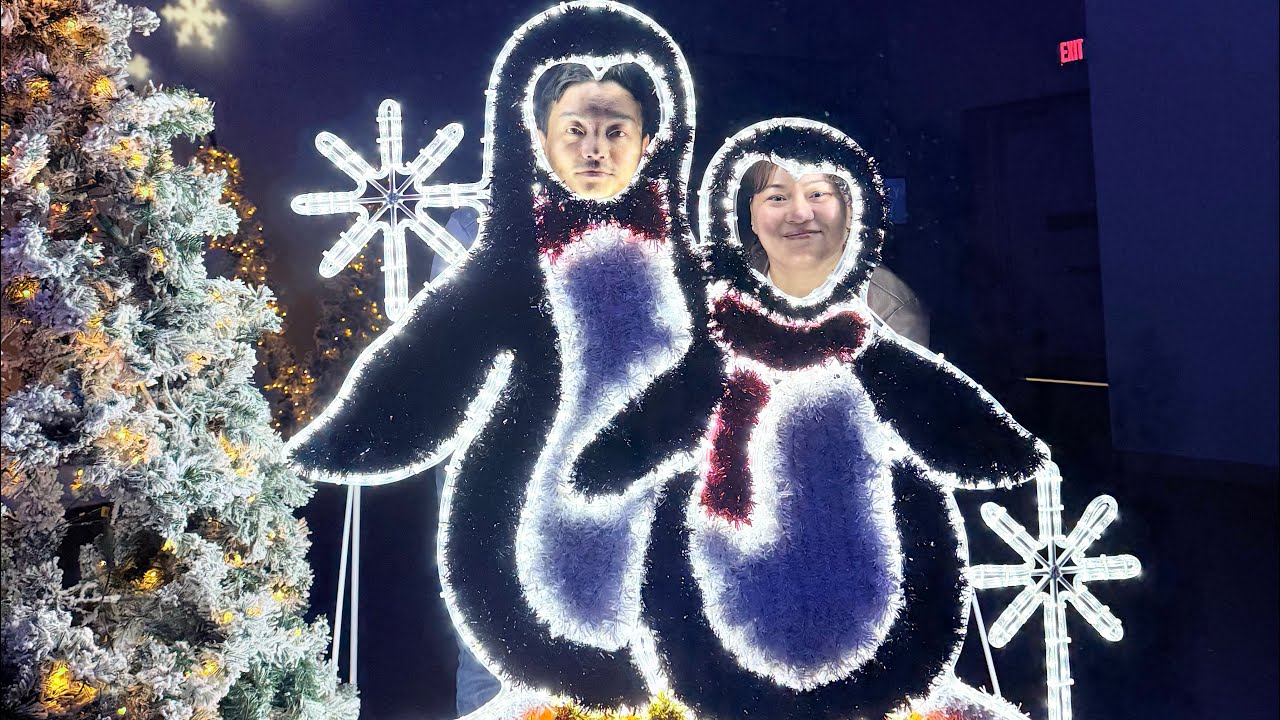  Visiting Christmas lights inside Greensboro science center🎄🎇🎆
