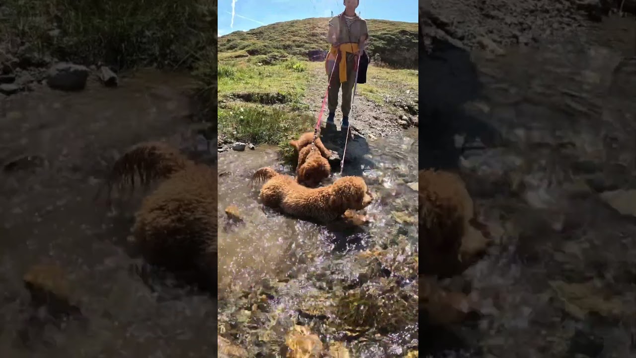 Verso il lago Kastel -Val Formazza