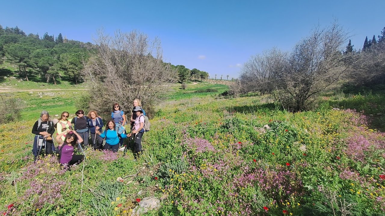 פריחה משגעת במסלול מאלון הגליל לנחלי ציפורי ויפתחאל 07.02.2026 עם מטיילי סופש