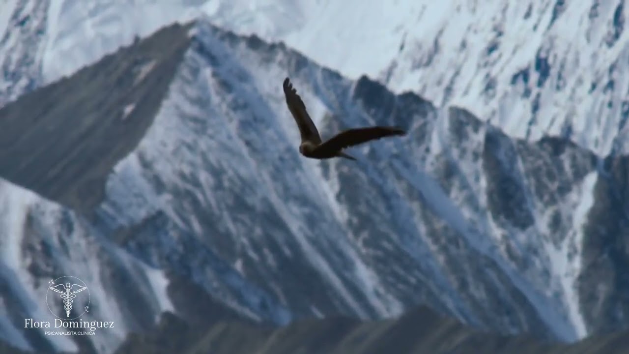 Reflexos do Divino #fé