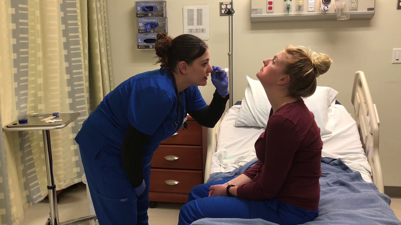 Health Assessment