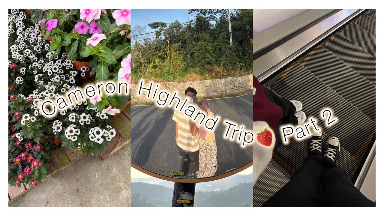 Cameron Highland Trip 🍓 (Part 2) #cameronhighlands #trip #vacation 