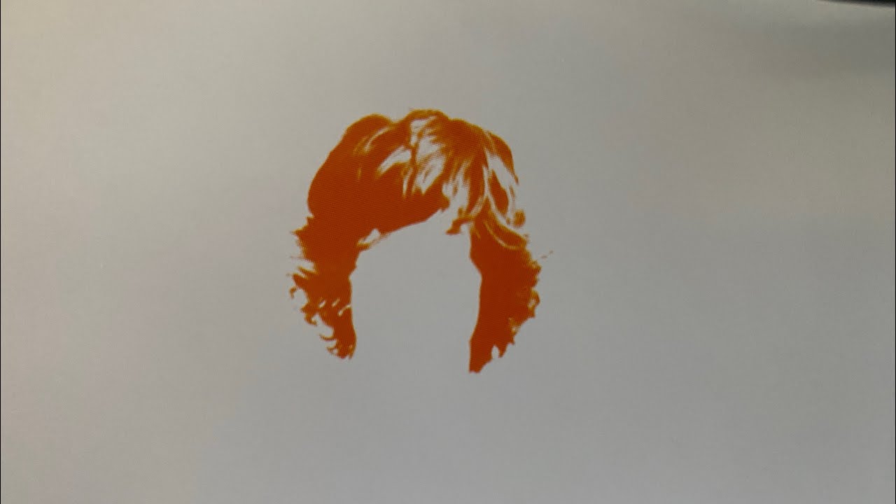 The Shaun White Album (2004)