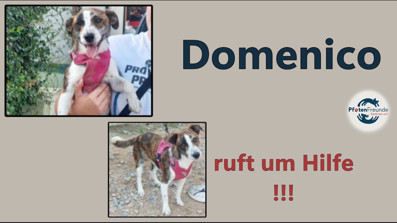 Domenico - eine liebe Seele schreit um Hilfe