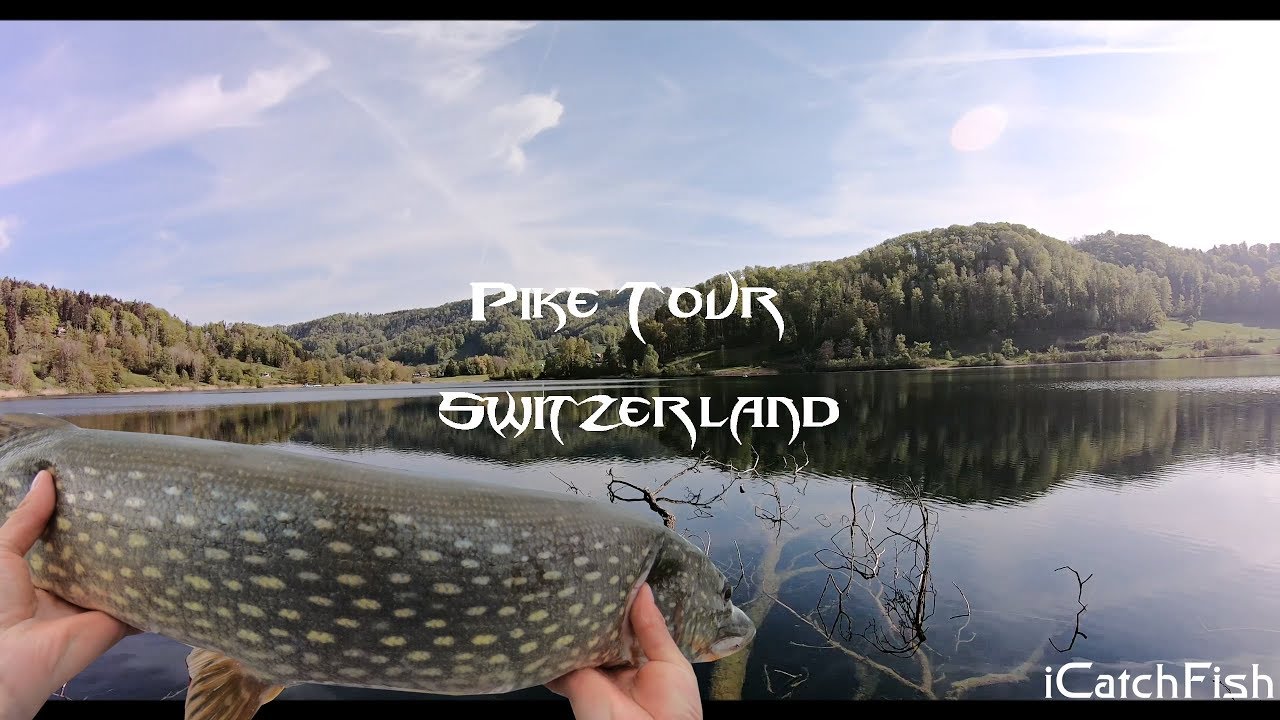 Pike Tour Switzerland - iCatchFish #Züri #Fishing #Movie