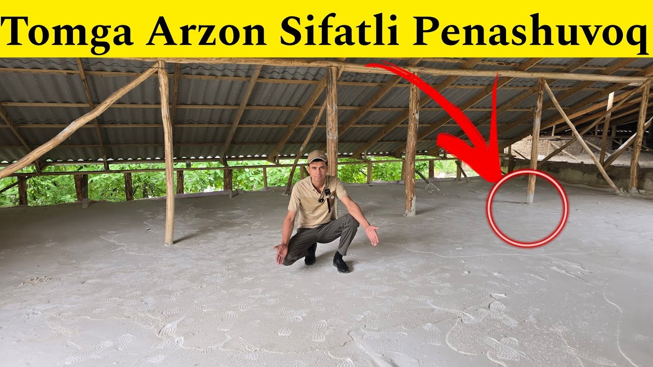 TEZ ARZON SIFARLI TOMGA PENASHUVOQ👍 | Tomga Gipsalombor Quyush Narxlari