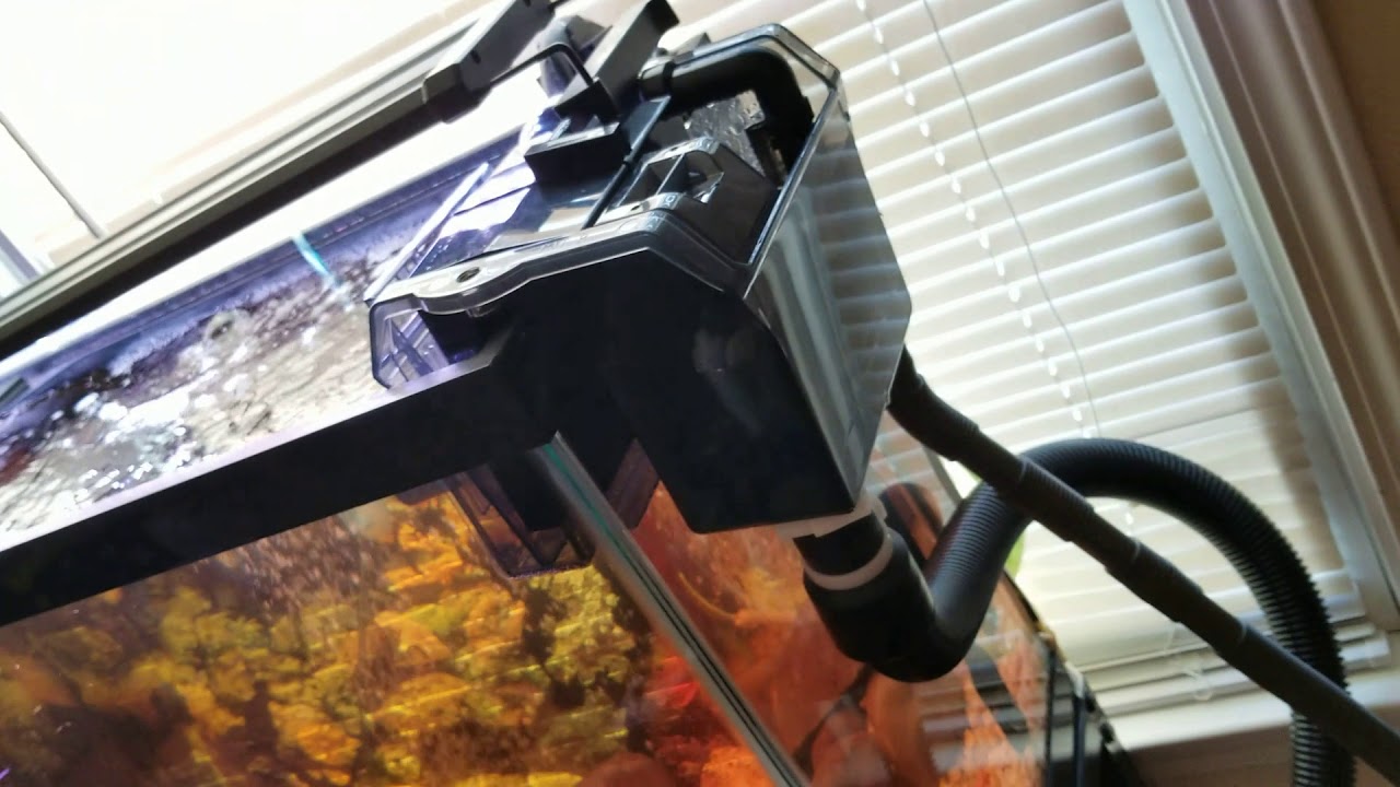 Best aquarium overflow box out there. Rapid pro overflow box