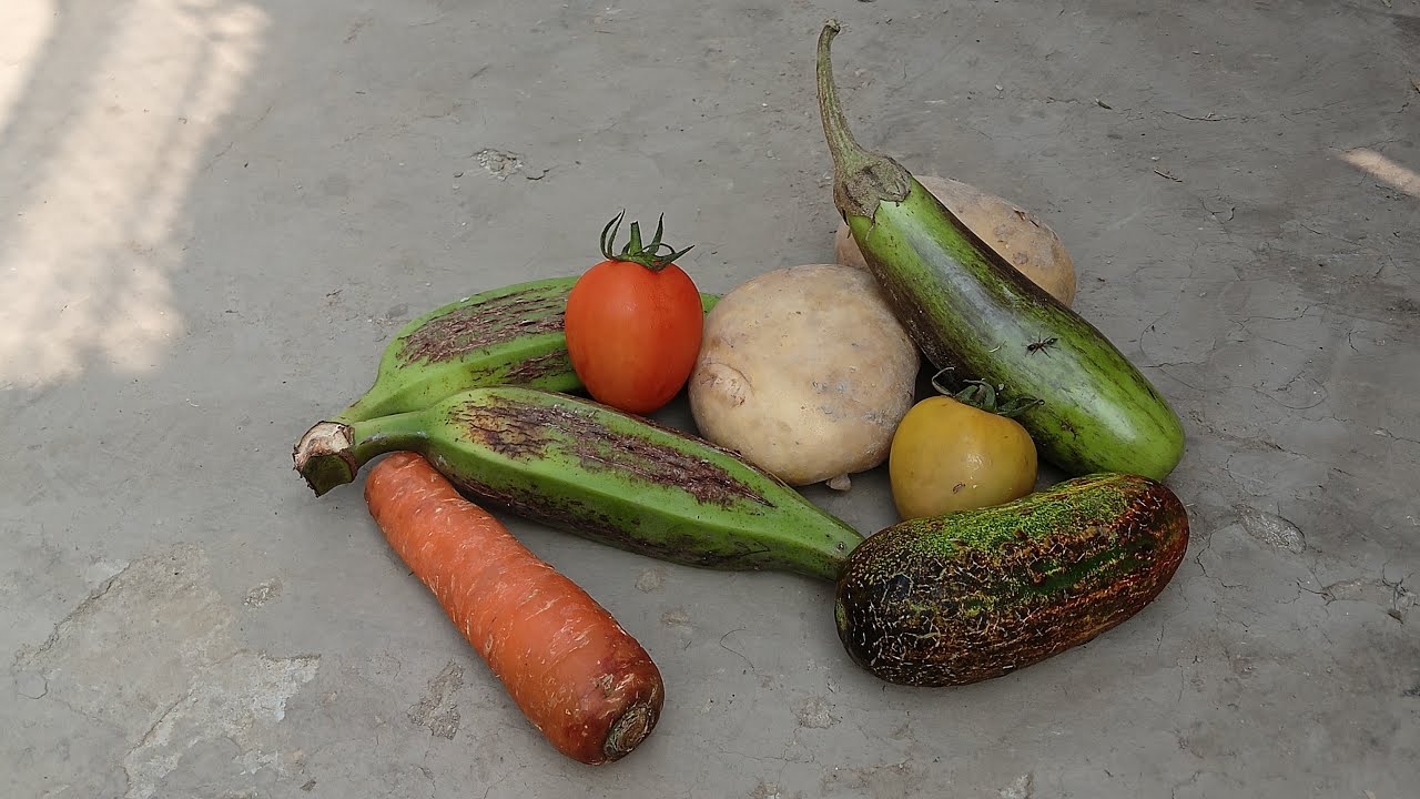 Easy to draw vegetables in watercolor live 🌶️🍅🍊