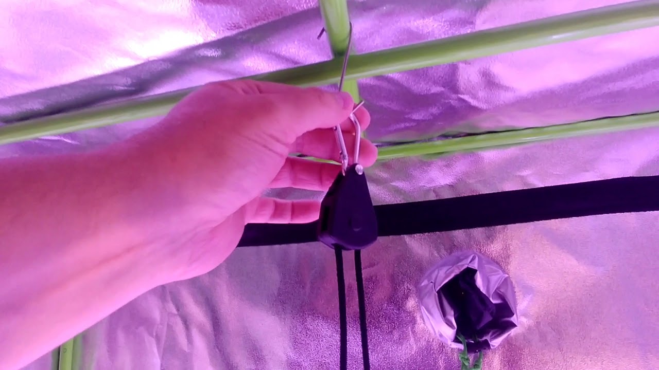 1000 Watt Led Grow Light Review
