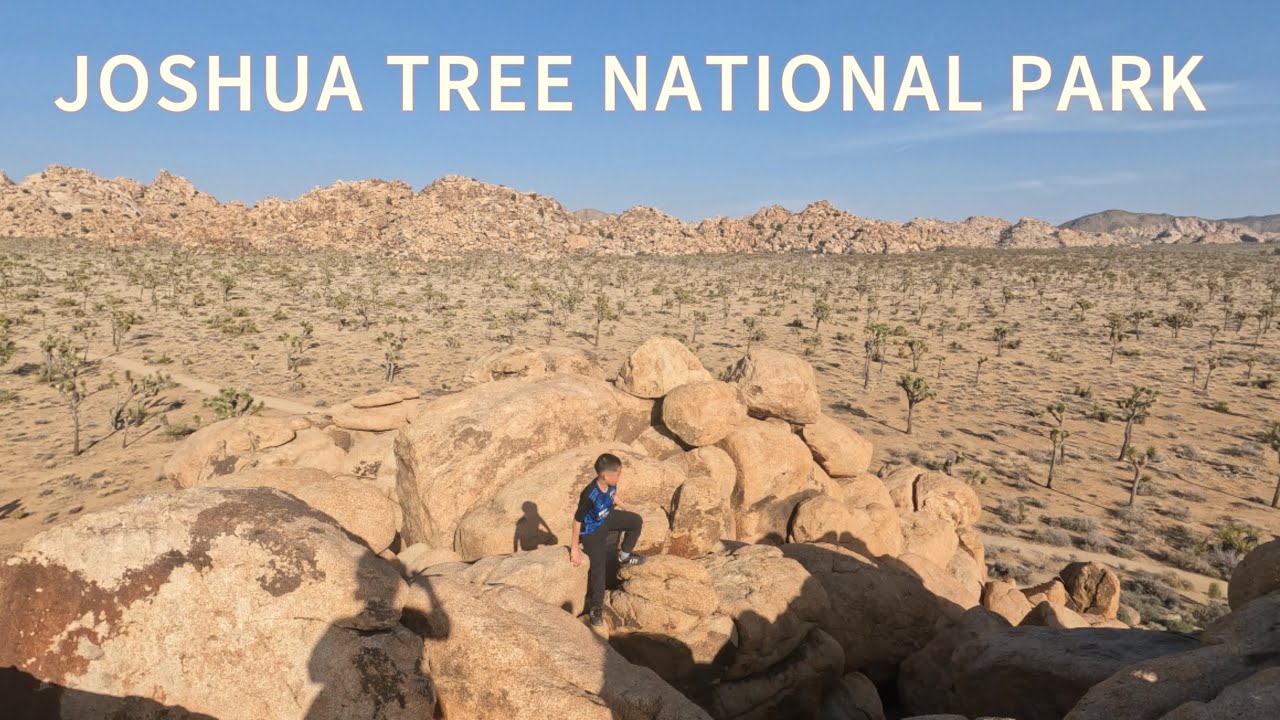 We Went To Joshua Tree national park  