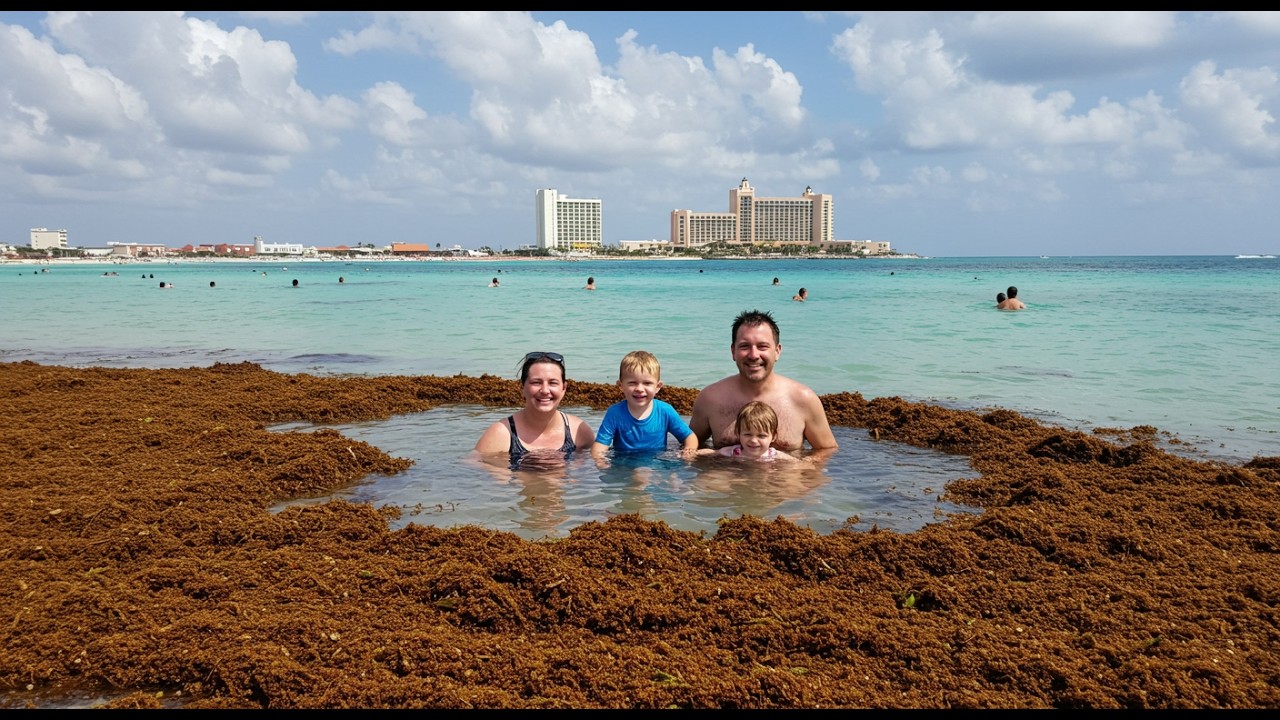 Hoteles sin Sargazo en Cancún