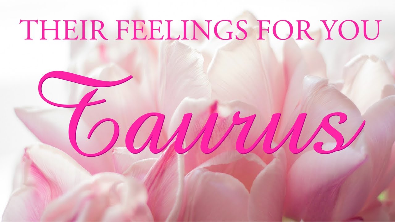 TAURUS love tarot ♉️ This Person Has Unfinished Business With You Taurus