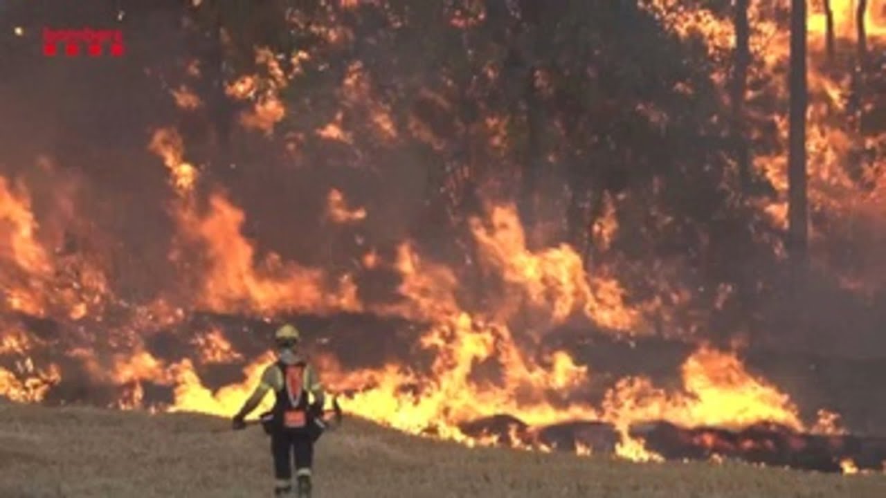 Cientos de hectáreas arrasadas por el fuego en Huelva, Albacete y Tarragona