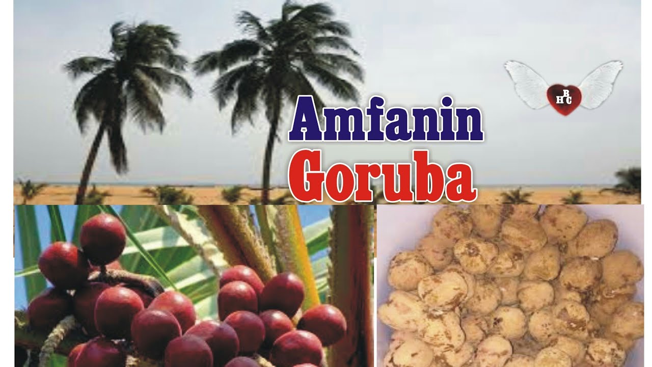 Amfanin Goruba 15 ga Lifiyar Dan Adam