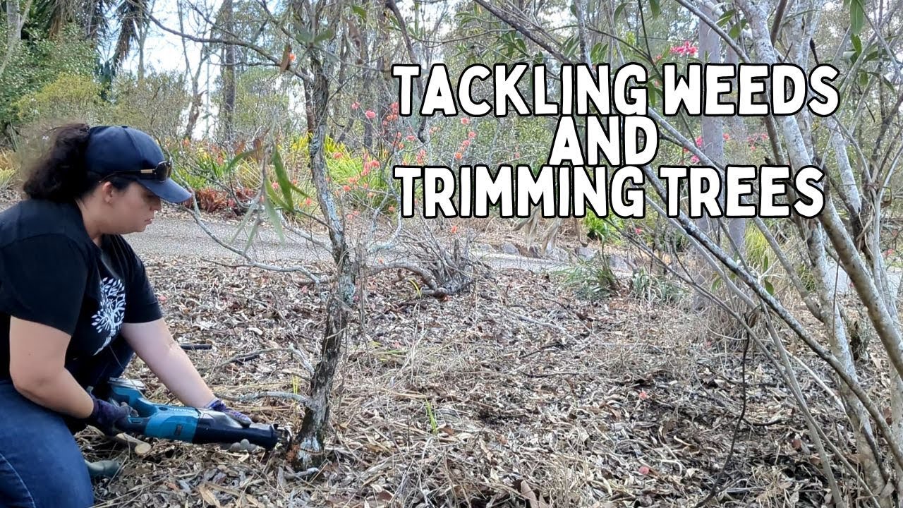 Tackling more weeds and trimming trees