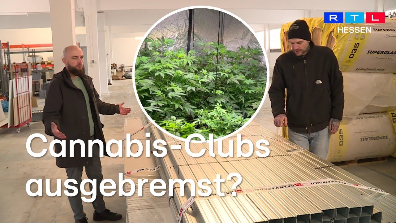 Hohe Auflagen, B&uuml;rokratie und leere Hallen: Warum Cannabis-Clubs in Hessen nicht vom Fleck kommen