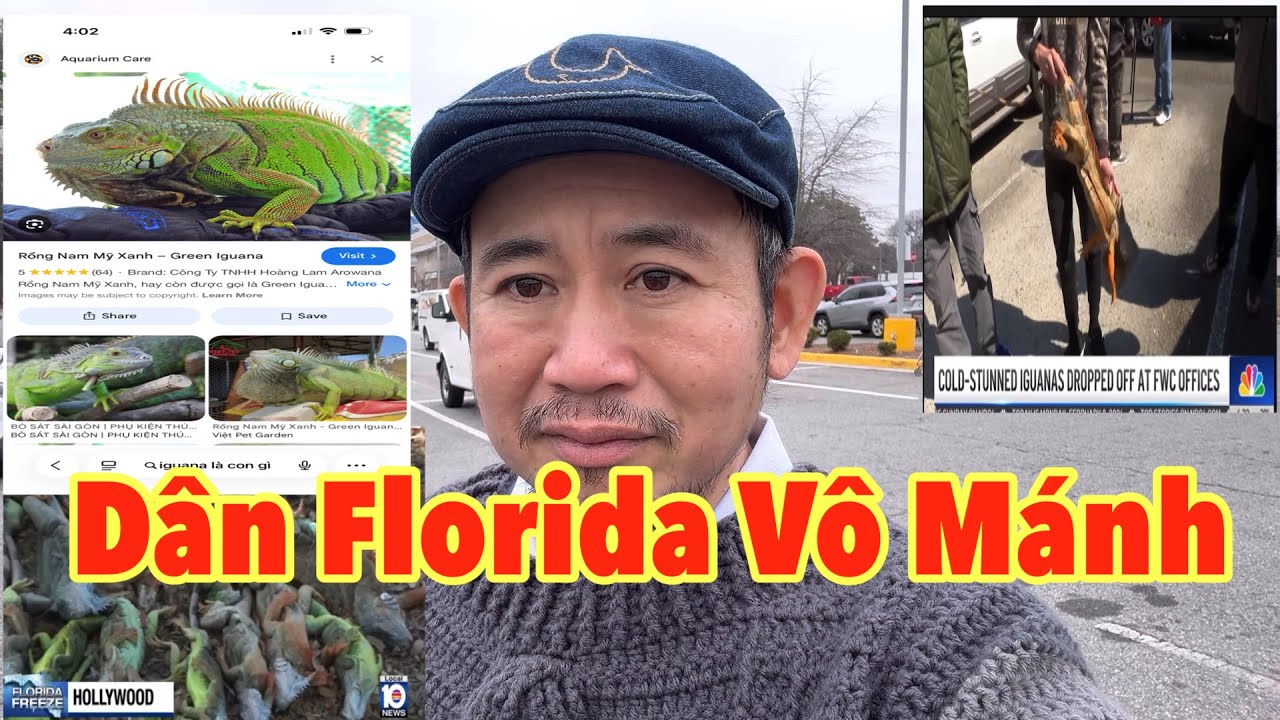 Dân Ở Florida Vô Mánh Hàng Ngàn “ CỰ ĐÀ “ Từ Trên Trời Rơi Xuống 