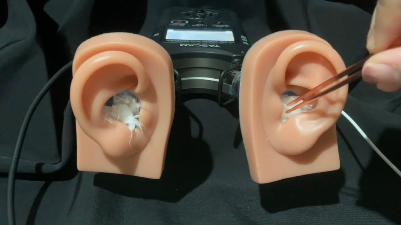 ASMR Ear Cleaning with Tweezers แคะหูก่อนนอน (No Talking)