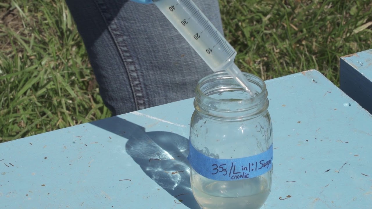 How to Use Oxalic Acid to Control Varroa Mites