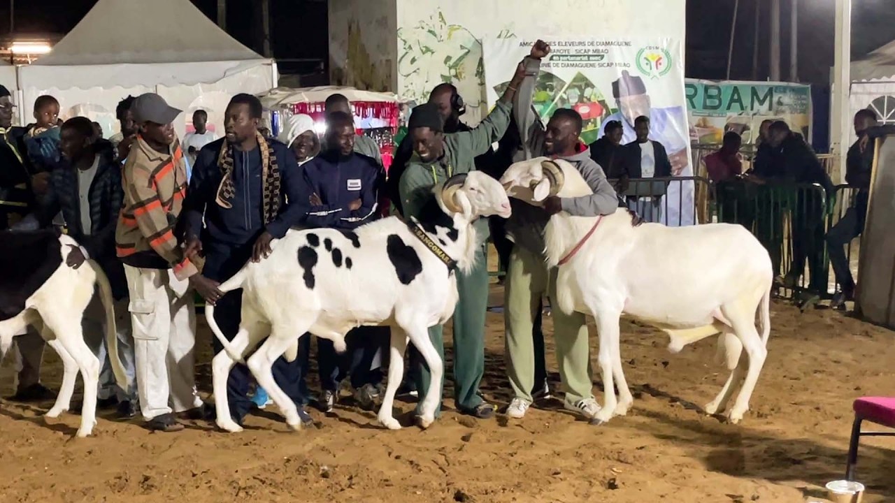 FINAL CATEGORIE ADULTE FOIRE RAMADAN