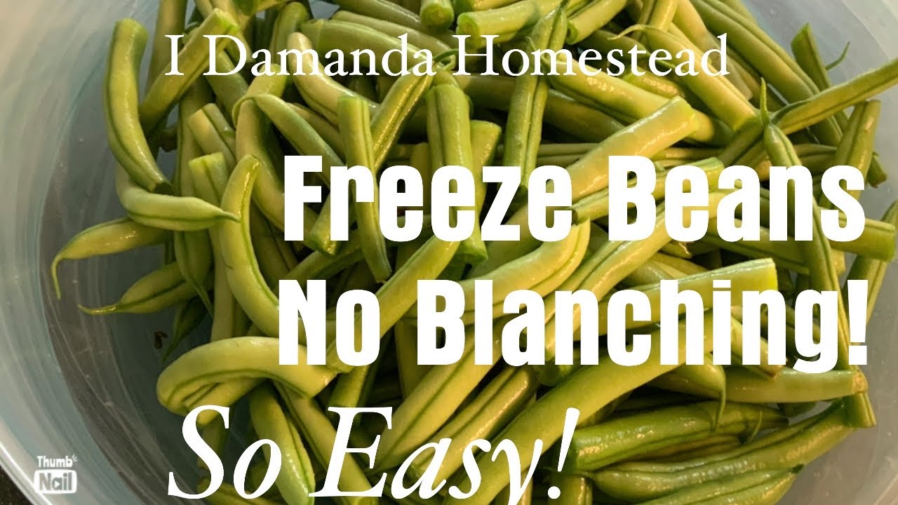 Freeze Beans Without Blanching! It’s So Easy!