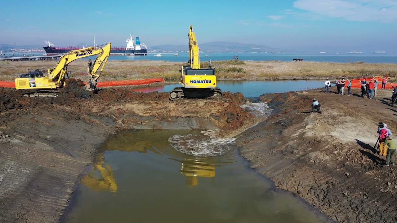 Pacheco Marsh Levee Breach Event with Doug McConnell, October 29, 2021