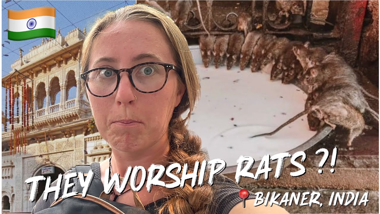 Why 25,000 Rats Are Worshipped at This Temple in India... 🇮🇳