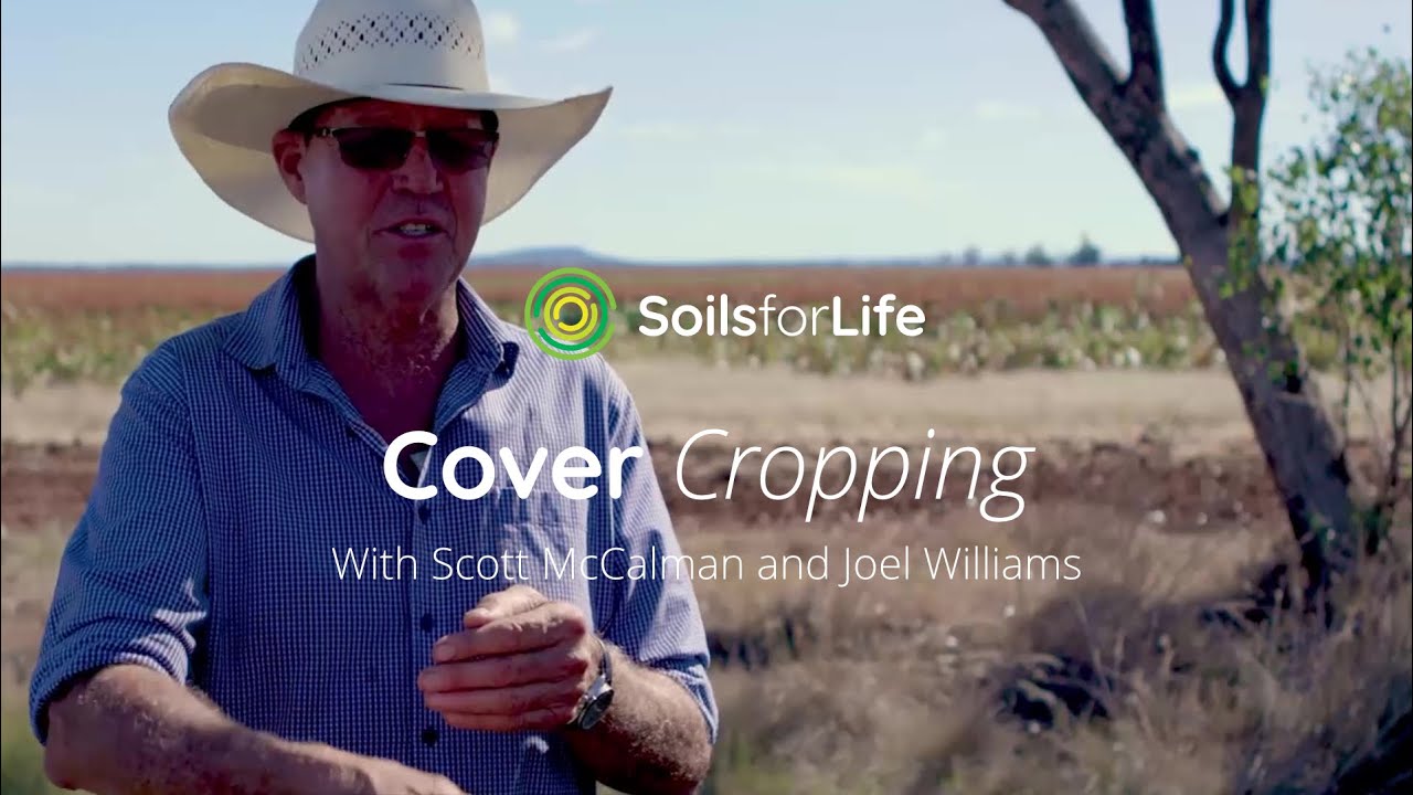 Cover Cropping, with Scott McCalman and Joel Williams
