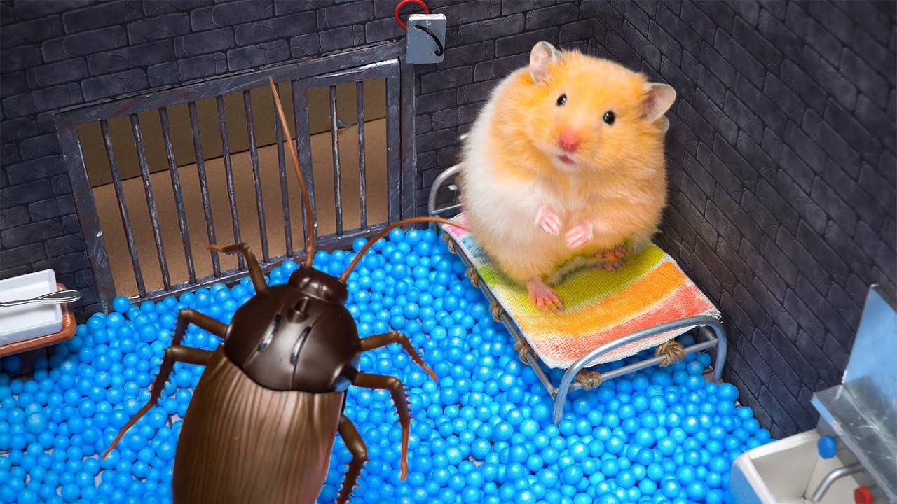 Hamster Escape From The Cockroach Prison 😱 Hamster Maze