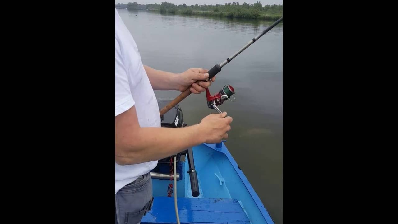 angeln in Biesbosch in Niederlande