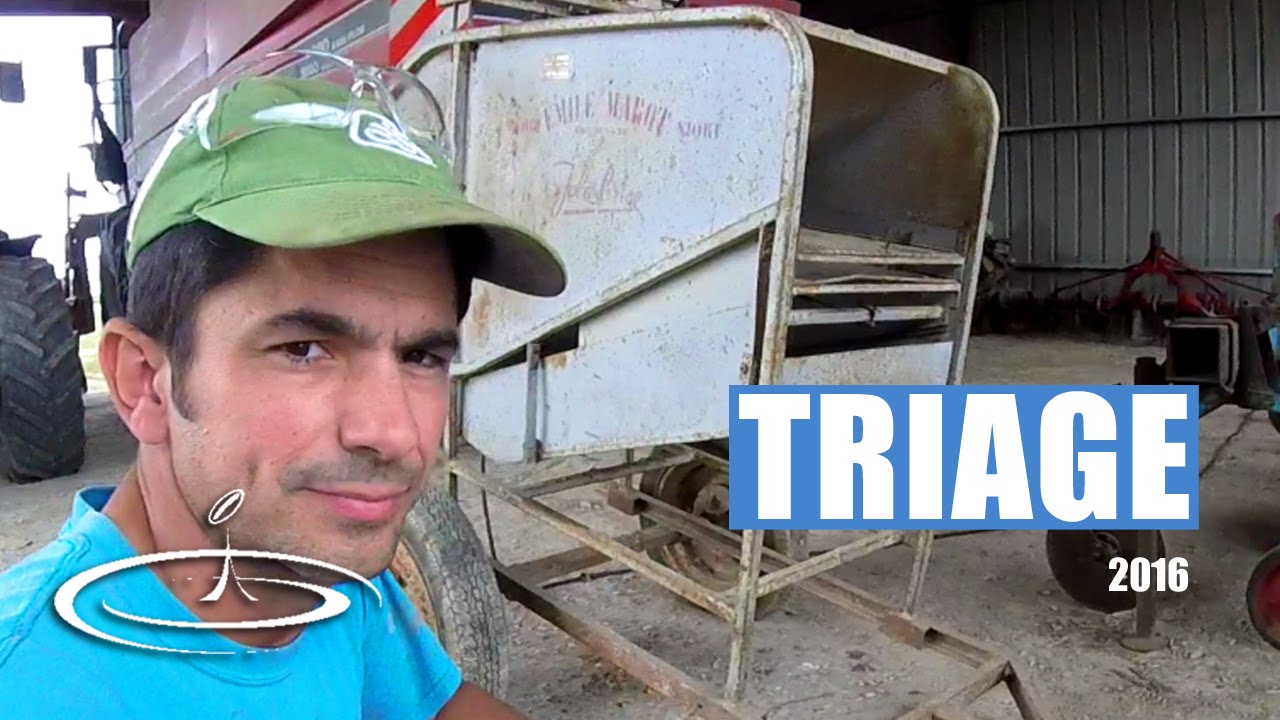 Féverole, nettoyage avec un vieux trieur - 2016