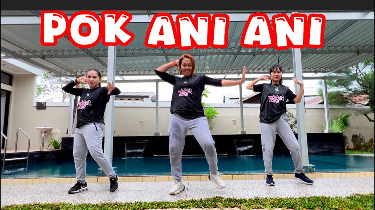 POK ANI ANI BY BILLIE KOPLO,DJ VINNIE PARGOY / DANCE FIT BY CHENCI ARIF 