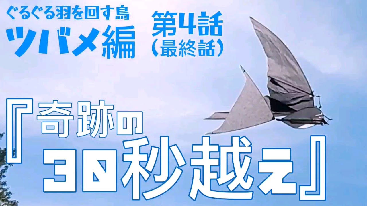 第4話（最終話）『奇跡の30秒越え』ぐるぐる羽を回す鳥ツバメ編　2024年8月15日
