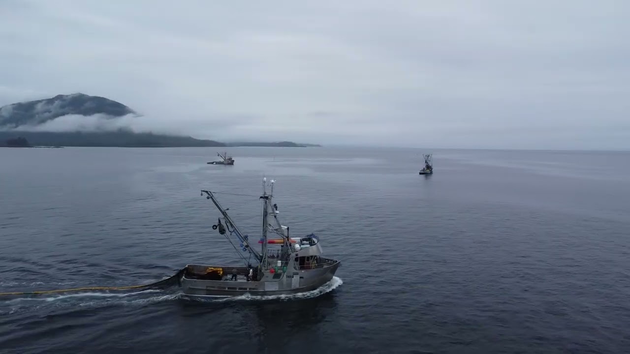 Setting a purse seine Alaska, drone pov. #commercialfishing #alaska #salmon #fisherman 