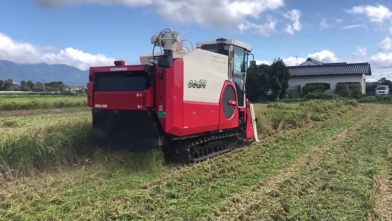 YANMAR GC698 ヒメノモチ