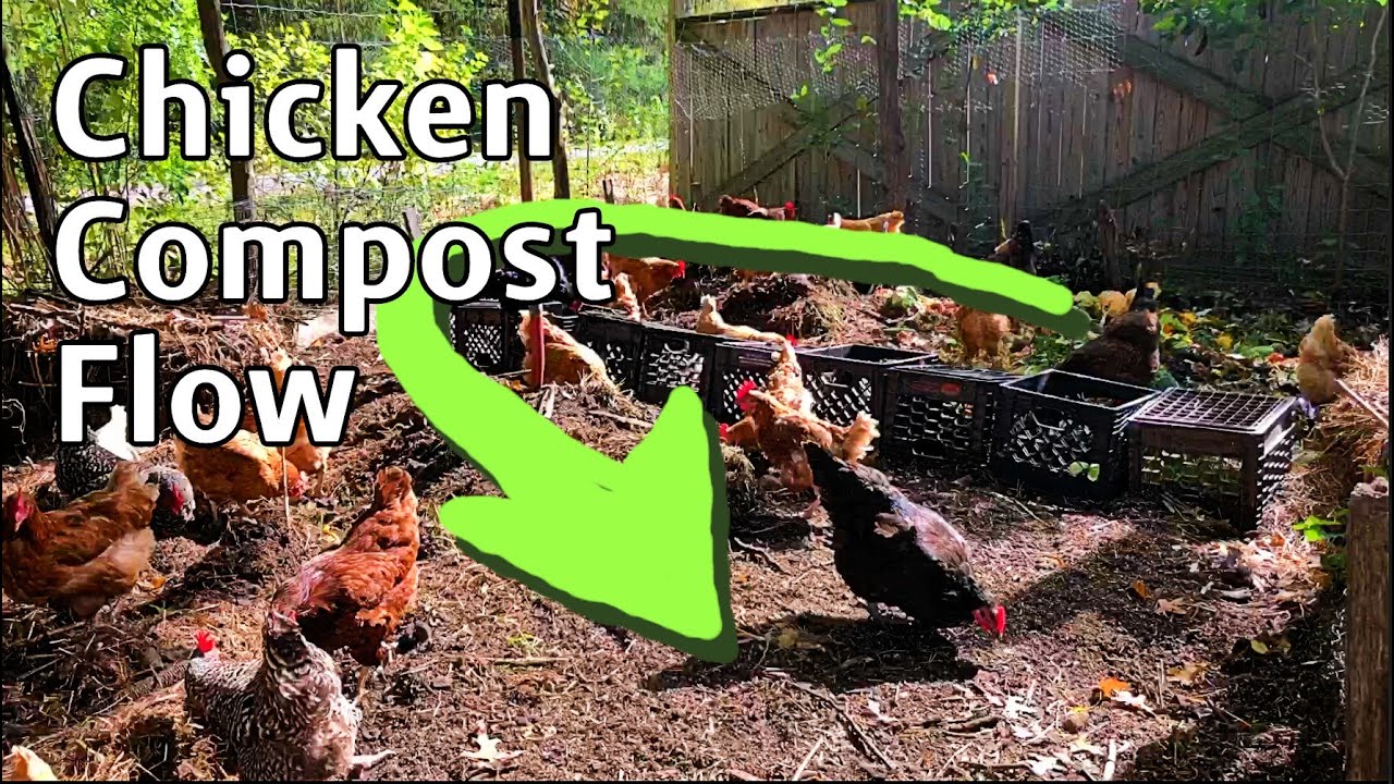 Chicken Compost - Adjusting the layout and sharing notes